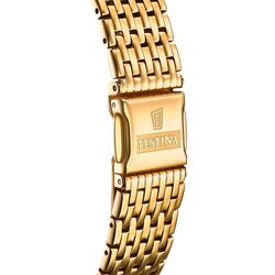 Наручные часы Festina Swiss Made F20020/2 (Gold) Thumb