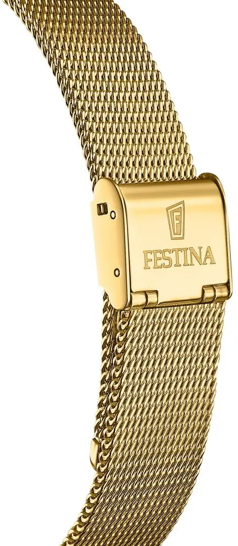 Наручные часы Festina Swiss Made F20023/3 (Black/Gold) - 2