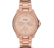 Ceas de mina Fossil Cecile Multifunction AM4483