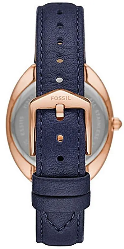 Наручные часы Fossil Gabby ES5116 (Rose Gold/Navy)