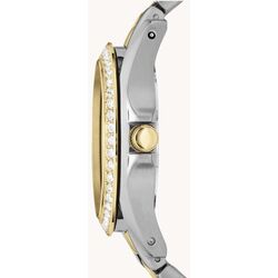 Наручные часы Fossil Riley Multifunction ES3204 Thumb