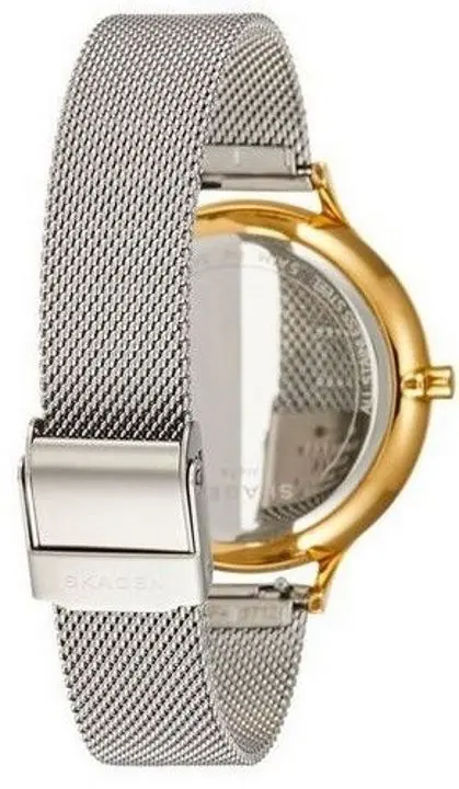 Ceas de mana Skagen Anita SKW2702