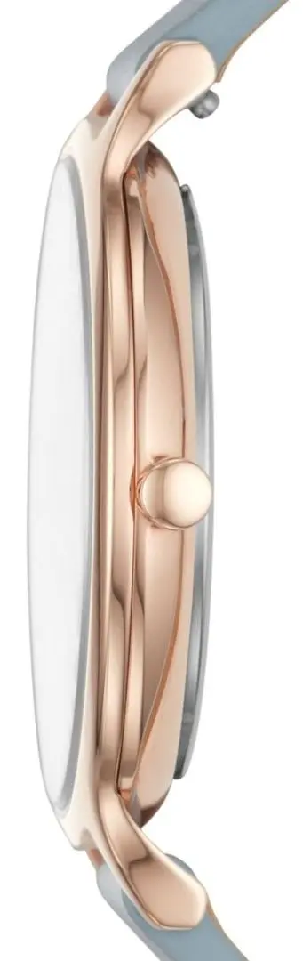 Наручные часы Skagen Anita SKW2703