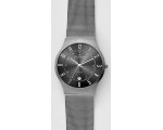 Наручные часы Skagen Grenen 233XLTTM