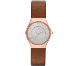 Наручные часы Skagen Grenen SKW2210