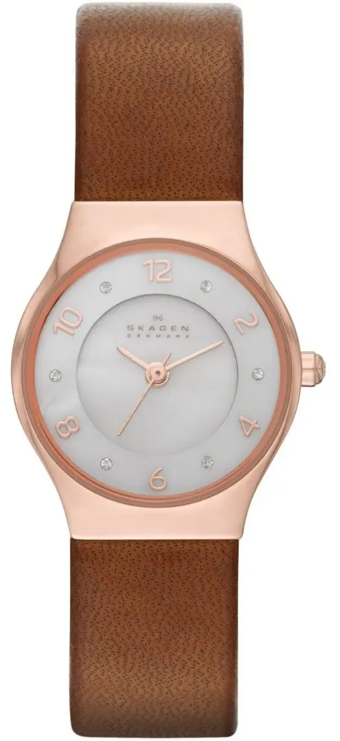 Ceas de mana Skagen Grenen SKW2210