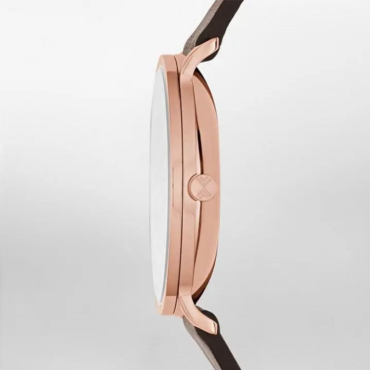 Наручные часы Skagen Hagen SKW6213