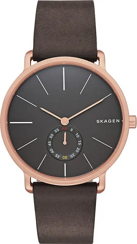 Наручные часы Skagen Hagen SKW6213