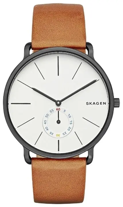Наручные часы Skagen Hagen SKW6216