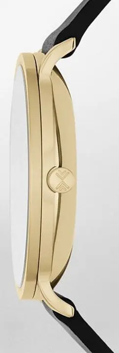 Наручные часы Skagen Hagen SKW6217