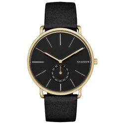 Наручные часы Skagen Hagen SKW6217