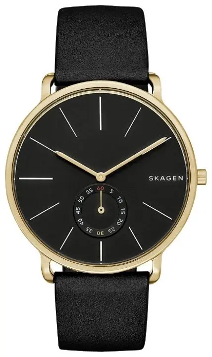 Наручные часы Skagen Hagen SKW6217