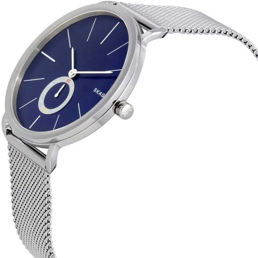 Наручные часы Skagen Hagen SKW6230