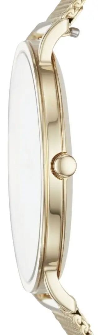 Ceas de mana Skagen Hagen Slim SKW6443