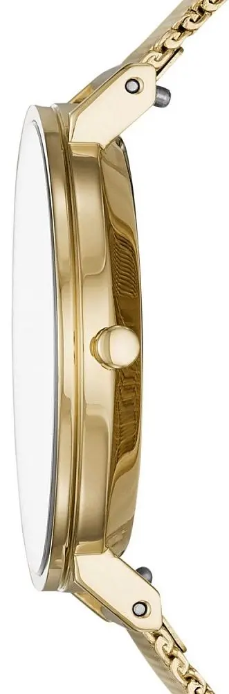 Ceas de mana Skagen Hald SKW2713