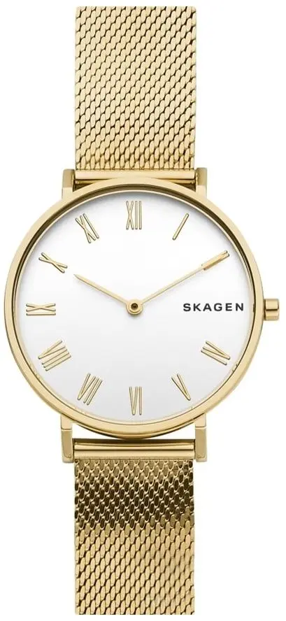 Ceas de mana Skagen Hald SKW2713