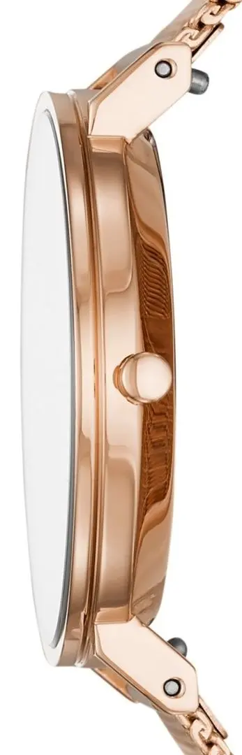 Наручные часы Skagen Hald SKW2714