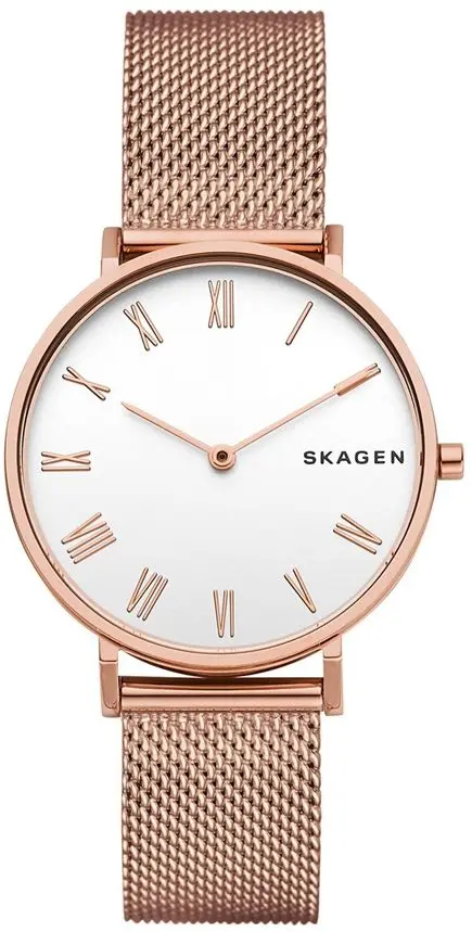 Наручные часы Skagen Hald SKW2714