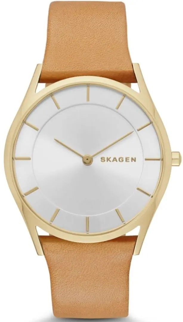 Наручные часы Skagen Holst SKW2344