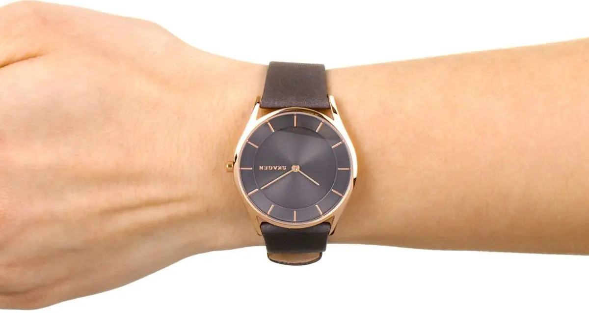 Наручные часы Skagen Holst SKW2346