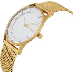 Наручные часы Skagen Holst SKW2377 Thumb