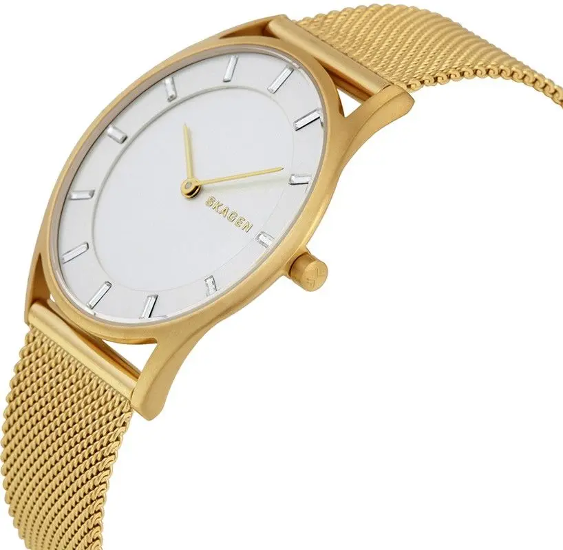 Наручные часы Skagen Holst SKW2377