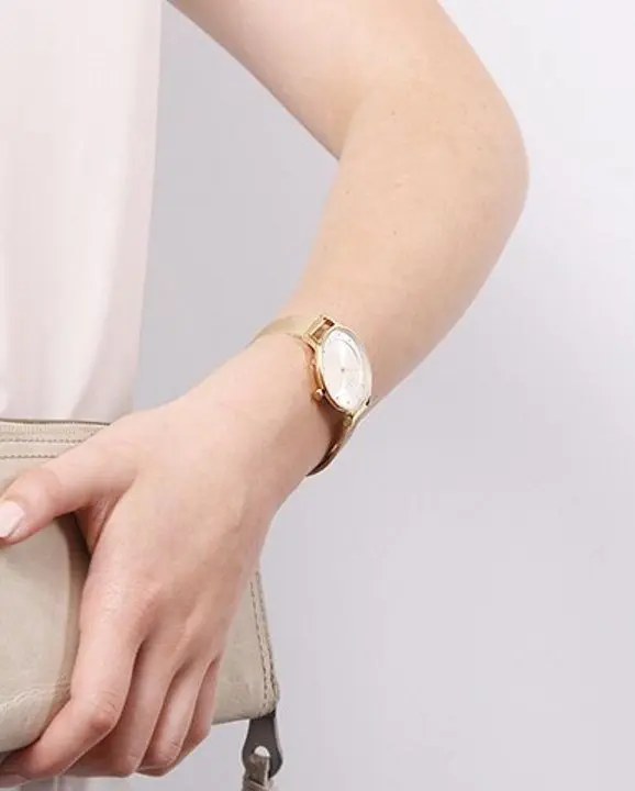 Наручные часы Skagen Holst SKW2377