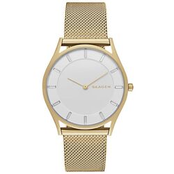 Ceas de mana Skagen Holst SKW2377