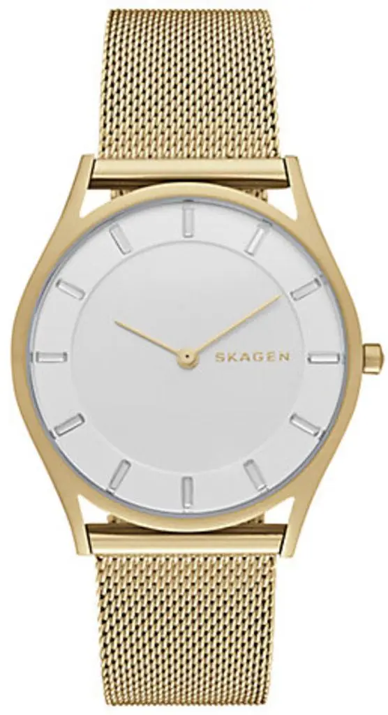 Наручные часы Skagen Holst SKW2377