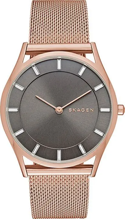Наручные часы Skagen Holst SKW2378