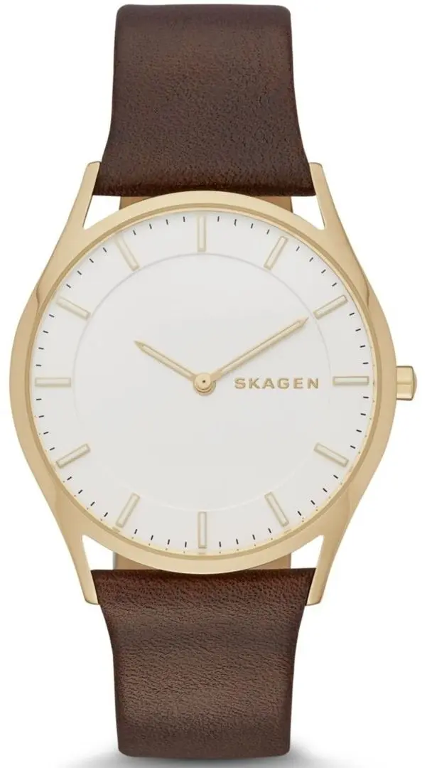 Наручные часы Skagen Holst SKW6225