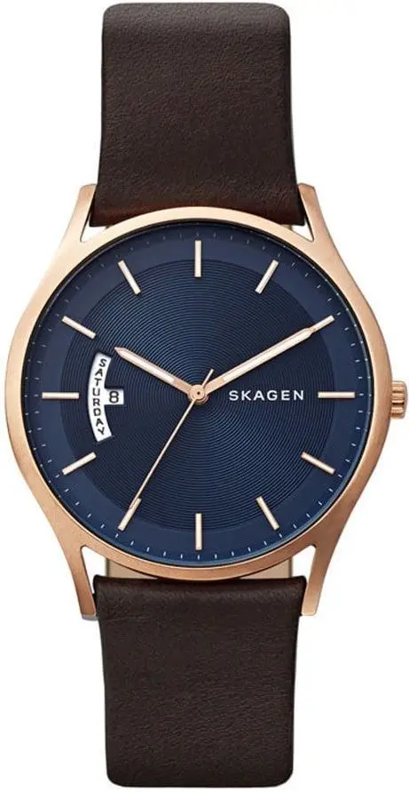 Наручные часы Skagen Holst SKW6395