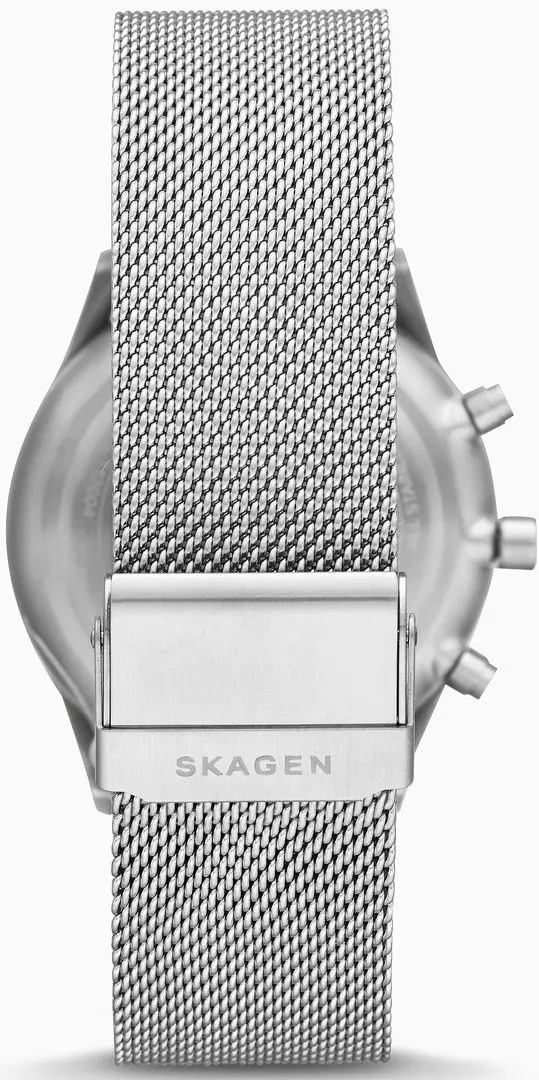 Наручные часы Skagen Holst SKW6652