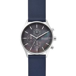 Ceas de mana Skagen Holst SKW6653