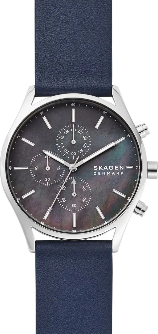 Наручные часы Skagen Holst SKW6653