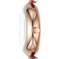 Наручные часы Skagen Signatur SKW2641 Thumb