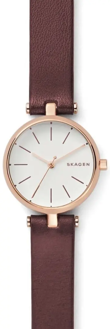 Наручные часы Skagen Signatur SKW2641