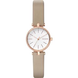 Ceas de mana Skagen Signatur SKW2643