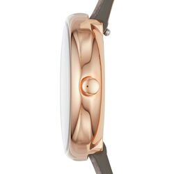 Наручные часы Skagen Signatur SKW2644 Thumb