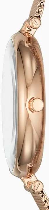 Ceas de mana Skagen Signatur SKW2709