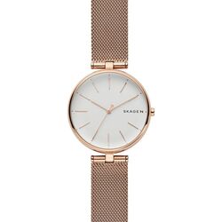 Ceas de mana Skagen Signatur SKW2709