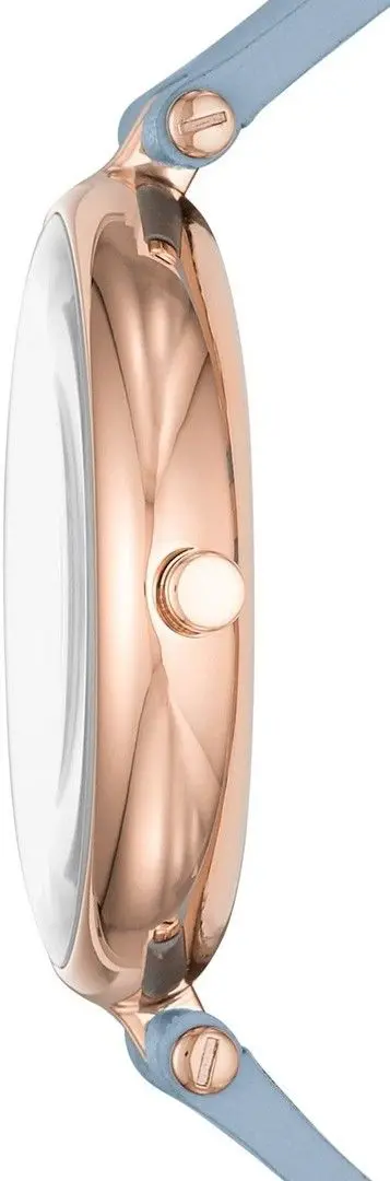 Ceas de mana Skagen Signatur SKW2711