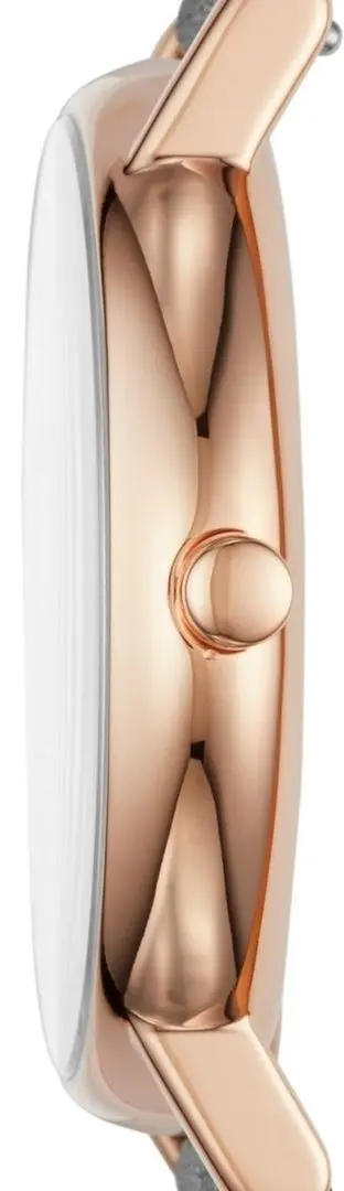 Наручные часы Skagen Signatur SKW6390