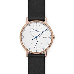 Ceas de mana Skagen Signatur SKW6390
