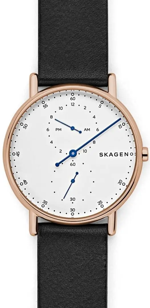 Наручные часы Skagen Signatur SKW6390