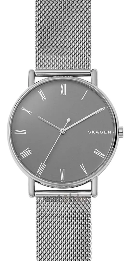Наручные часы Skagen Signatur SKW6428