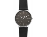 Наручные часы Skagen Signatur SKW6528