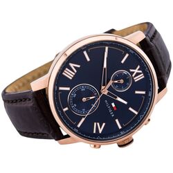 Наручные часы Tommy Hilfiger Alden 1791308 (Brown/Rose Gold) Thumb