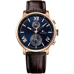 Наручные часы Tommy Hilfiger Alden 1791308 (Brown/Rose Gold)