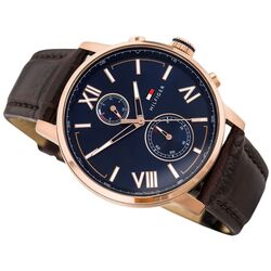 Наручные часы Tommy Hilfiger Alden 1791308 (Brown/Rose Gold) Thumb